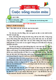 Bài tập cuối tuần Tiếng Việt lớp 5 Cánh diều Học kì 2 (Phiên bản 2)