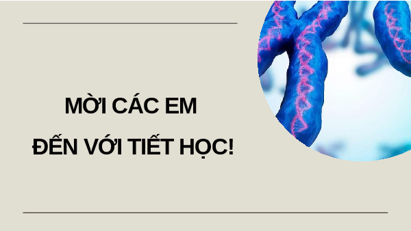 Giáo án Powerpoint Bài 46: Đột biến nhiễm sắc thể KHTN 9 Kết nối tri thức