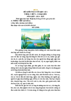 Đề thi cuối kì 1 Tiếng Việt lớp 5 Cánh Diều (Đề 9)