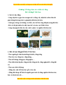 Lý thuyết Công nghệ 7 Chân trời sáng tạo Bài 6: Rừng ở Việt Nam