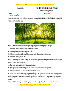 Bài tập cuối tuần Tiếng việt 5 Tuần 8 (có lời giải)