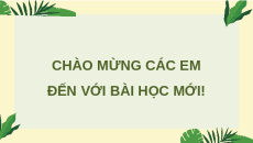 Giáo án Powerpoint Tuần 31 HĐTN lớp 4 Kết nối tri thức