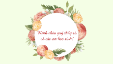 Giáo án Powerpoint Thực hành tiếng Việt trang 78 Ngữ văn 11 Kết nối tri thức