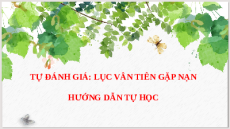 Giáo án Powerpoint Tự đánh giá: Lục Vân Tiên gặp nạn Ngữ văn 9 Cánh diều