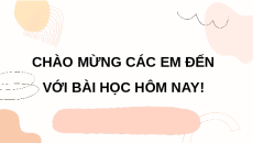 Giáo án Powerpoint Các yếu tố ảnh hưởng đến sinh sản và điều khiển sinh sản ở sinh vật Sinh học - KHTN 7 Cánh diều