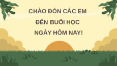 Giáo án Powerpoint Bài 30 Khoa học lớp 5 Chân trời sáng tạo: Ôn tập chủ đề Sinh vật và môi trường