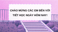 Giáo án Powerpoint Bài 7 GDCD 8 Chân trời sáng tạo: Phòng, chống bạo lực gia đình