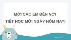 Giáo án Powerpoint Công nghệ lớp 4 Chân trời sáng tạo: Ôn tập phần 2