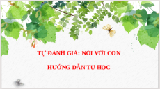 Giáo án Powerpoint Tự đánh giá: Nói với con Ngữ văn 9 Cánh diều