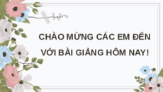 Giáo án Powerpoint Bài 10B: Xoay, cắt, thêm chữ vào ảnh Tin học 8 Chân trời sáng tạo