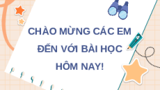 Giáo án Powerpoint Bài 3 Sinh học 11 Chân trời sáng tạo: Thực hành: Thí nghiệm trao đổi nước ở thực vật và trông cây bằng thủy canh, khí canh