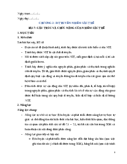 Giáo án Bài 7 Sinh học 12 Kết nối tri thức: Cấu trúc và chức năng của nhiễm sắc thể