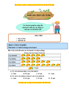 Bài tập cuối tuần Toán 4 Tuần 7 Chân trời sáng tạo (có lời giải)