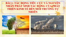 Bài giảng Powerpoint Chuyên đề KTPL 11 Kết nối tri thức