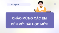 Giáo án Powerpoint Bài 7: Thực hành tìm kiếm thông tin trên Internet Tin 11 Kết nối tri thức