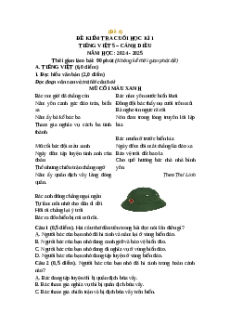 Đề thi cuối kì 1 Tiếng Việt lớp 5 Cánh Diều (Đề 4)