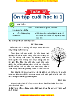 Bài tập cuối tuần Tiếng Việt 4 Tuần 18 Chân trời sáng tạo (có lời giải)