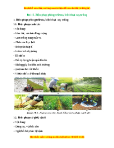 Lý thuyết Công nghệ 10 Trồng trọt Cánh diều Bài 15: Biện pháp phòng trừ sâu, bệnh hại cây trồng