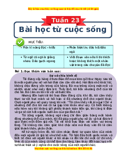 Bài tập cuối tuần Tiếng việt lớp 3 Tuần 23 Kết nối tri thức (có lời giải)