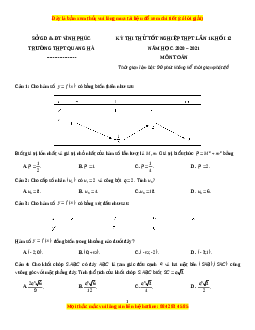 Đề thi thử Toán trường Quang Hà năm 2021