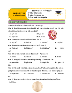 Bài tập cuối tuần Toán lớp 5 Chân trời sáng tạo Tuần 16