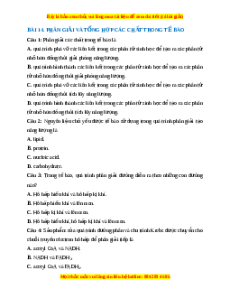 Trắc nghiệm Phân giải và tổng hợp vật chất và năng lượng Sinh học 10 Kết nối tri thức