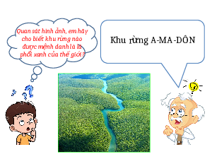 Giáo án Powerpoint Bài 18 Địa lí 7 Chân trời sáng tạo: Vấn đề khai thác, sử dụng và bảo vệ rừng A-ma-dôn