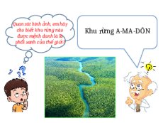 Giáo án Powerpoint Bài 18 Địa lí 7 Chân trời sáng tạo: Vấn đề khai thác, sử dụng và bảo vệ rừng A-ma-dôn