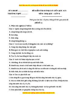 Đề thi giữa kì 1 Sinh học 11 Kết nối tri thức (đề 3)