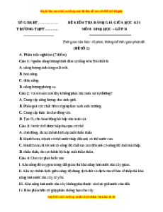 Đề thi giữa kì 1 Sinh học 11 Kết nối tri thức (đề 3)