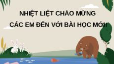 Giáo án Powerpoint Ôn tập Chương 7 Sinh học 12 Chân trời sáng tạo