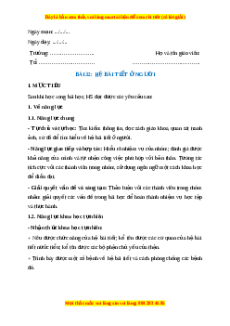 Giáo án Hệ bài tiết ở người Sinh học 8 Kết nối tri thức