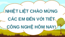 Giáo án Powerpoint Bài 14 Công nghệ chăn nuôi 11 Kết nối tri thức: Một số bệnh phổ biến ở trâu, bò và biện pháp phòng, trị