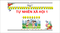 Giáo án Powerpoint Bài 14: Cơ thể em Tự nhiên xã hội lớp 1 Cánh diều