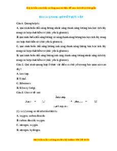 Trắc nghiệm Quang hợp ở thực vật KHTN 7 Chân trời sáng tạo