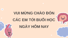 Giáo án Powerpoint Bài tập chủ đề 7 Sinh học - KHTN 8 Cánh diều