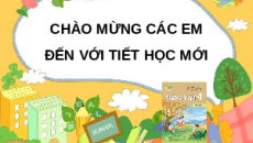 Giáo án Powerpoint Viết: Tìm hiểu cách viết bài văn miêu tả con vật (trang 112, 113) Tiếng việt lớp 4 Kết nối tri thức (Phiên bản 2)