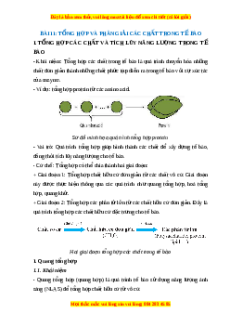 Lý thuyết Sinh học 10 Cánh diều Bài 11: Tổng hợp và phân giải các chất trong tế bào