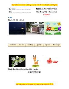 Bài tập cuối tuần Tiếng việt lớp 1 Tuần 22 Cánh diều (có lời giải)