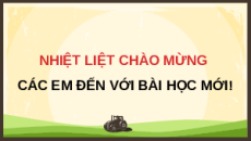 Giáo án Powerpoint Bài 1: Vai trò và triển vọng của chăn nuôi lớp 11 Kết nối tri thức