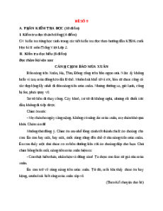 Đề thi học kì 2 Tiếng Việt lớp 2 Cánh diều (Đề 9)