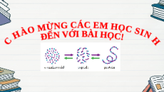Giáo án Powerpoint Amino acid và peptide Hóa học 12 Kết nối tri thức