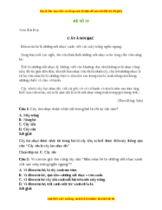 Đề thi khảo sát chất lượng đầu năm Tiếng việt lớp 5 - Đề 4