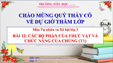 Giáo án Powerpoint Bài 12: Các bộ phận của thực vật và chức năng của chúng Tự nhiên xã hội lớp 3 Cánh diều