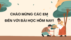 Giáo án Powerpoint Bài 3: Giới thiệu về đất trồng Công nghệ trồng trọt 10 Kết nối tri thức