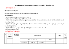 Bộ 2 đề thi giữa kì 2 Sinh học 12 Chân trời sáng tạo có đáp án