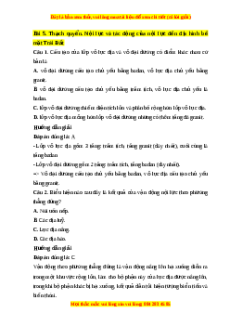 Trắc nghiệm Bài 5: Thạch quyển. Nội lực và tác động của nội lực đến địa hình bề mặt Trái Đất Địa lí 10 Cánh diều