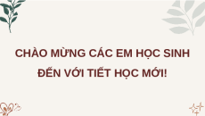 Giáo án Powerpoint Tuần 29 HĐTN lớp 4 Kết nối tri thức