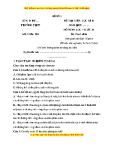 Đề thi giữa kì 2 Tin học 11 Cánh diều (Đề 1)