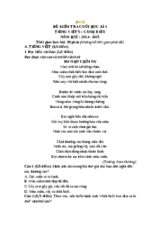 Đề thi cuối kì 1 Tiếng Việt lớp 5 Cánh Diều (Đề 8)